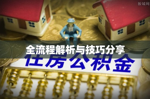 皋兰全流程解析与技巧分享